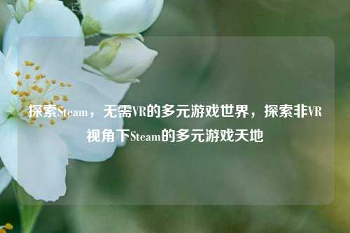 探索Steam,无需VR的多元游戏世界,探索非VR视角下Steam的多元游戏天地