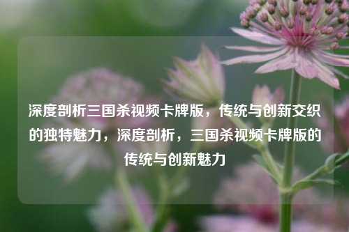 深度剖析三国杀视频卡牌版,传统与创新交织的独特魅力,深度剖析,三国杀视频卡牌版的传统与创新魅力