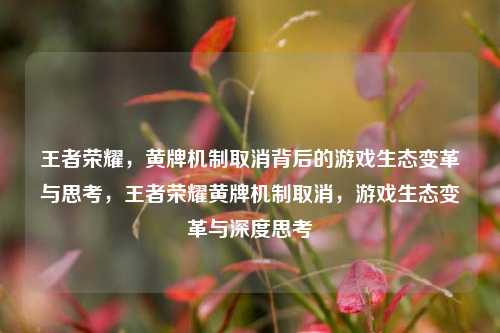 王者荣耀,黄牌机制取消背后的游戏生态变革与思考,王者荣耀黄牌机制取消,游戏生态变革与深度思考