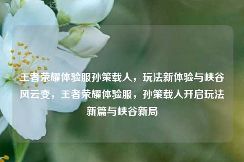 王者荣耀体验服孙策载人,玩法新体验与峡谷风云变,王者荣耀体验服,孙策载人开启玩法新篇与峡谷新局