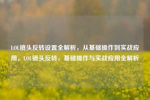 LOL镜头反转设置全解析,从基础操作到实战应用,LOL镜头反转,基础操作与实战应用全解析