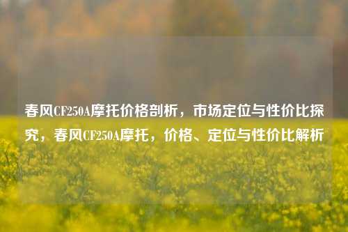 春风CF250A摩托价格剖析,市场定位与性价比探究,春风CF250A摩托,价格、定位与性价比解析