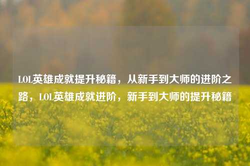 LOL英雄成就提升秘籍，从新手到大师的进阶之路，LOL英雄成就进阶，新手到大师的提升秘籍