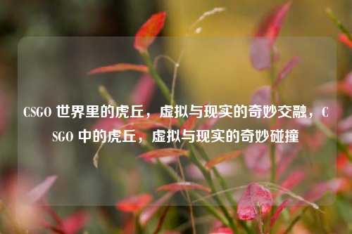 CSGO 世界里的虎丘,虚拟与现实的奇妙交融,CSGO 中的虎丘,虚拟与现实的奇妙碰撞