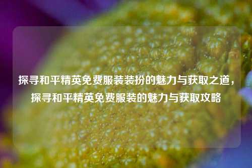 探寻和平精英免费服装装扮的魅力与获取之道，探寻和平精英免费服装的魅力与获取攻略