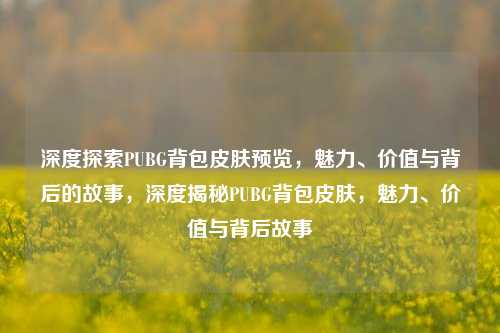 深度探索PUBG背包皮肤预览,魅力、价值与背后的故事,深度揭秘PUBG背包皮肤,魅力、价值与背后故事