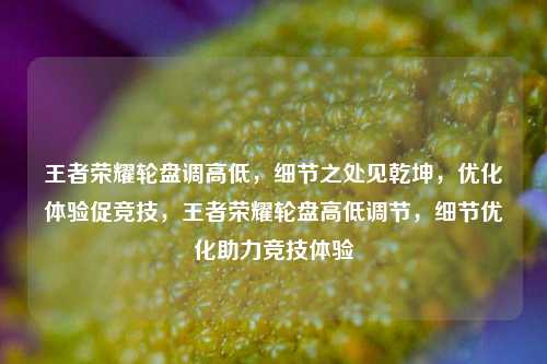 王者荣耀轮盘调高低，细节之处见乾坤，优化体验促竞技，王者荣耀轮盘高低调节，细节优化助力竞技体验