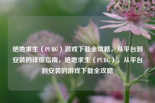 绝地求生(PUBG)游戏下载全攻略,从平台到安装的详细指南,绝地求生(PUBG),从平台到安装的游戏下载全攻略