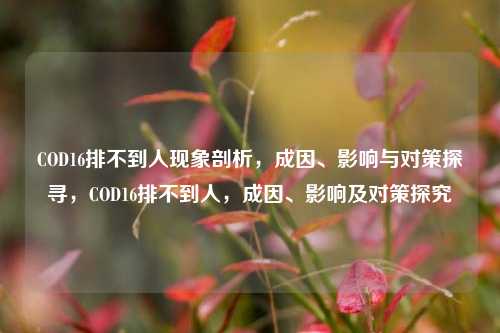 COD16排不到人现象剖析,成因、影响与对策探寻,COD16排不到人,成因、影响及对策探究