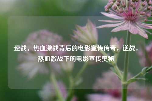 逆战，热血激战背后的电影宣传传奇，逆战，热血激战下的电影宣传奥秘