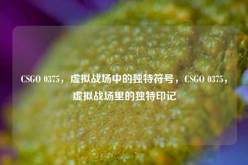 CSGO 0375,虚拟战场中的独特符号,CSGO 0375,虚拟战场里的独特印记
