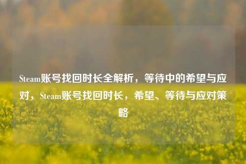 Steam账号找回时长全解析,等待中的希望与应对,Steam账号找回时长,希望、等待与应对策略