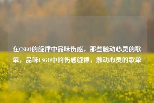 在CSGO的旋律中品味伤感,那些触动心灵的歌单,品味CSGO中的伤感旋律,触动心灵的歌单