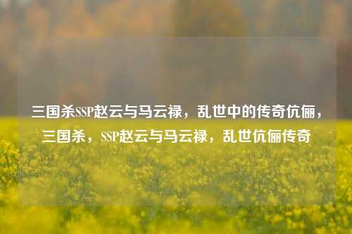 三国杀SSP赵云与马云禄，乱世中的传奇伉俪，三国杀，SSP赵云与马云禄，乱世伉俪传奇