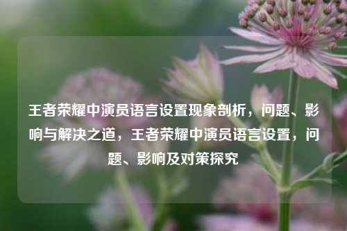 王者荣耀中演员语言设置现象剖析,问题、影响与解决之道,王者荣耀中演员语言设置,问题、影响及对策探究