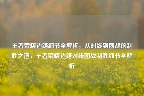 王者荣耀边路细节全解析,从对线到团战的制胜之道,王者荣耀边路对线团战制胜细节全解析