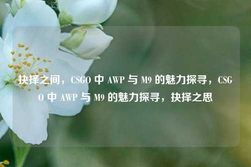 抉择之间,CSGO 中 AWP 与 M9 的魅力探寻,CSGO 中 AWP 与 M9 的魅力探寻,抉择之思