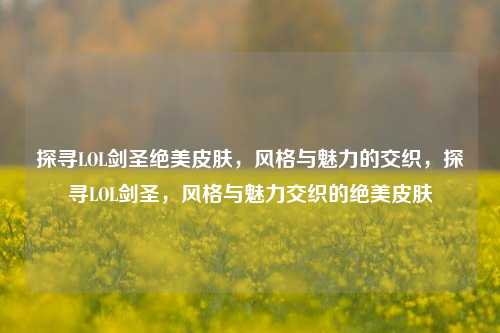 探寻LOL剑圣绝美皮肤，风格与魅力的交织，探寻LOL剑圣，风格与魅力交织的绝美皮肤