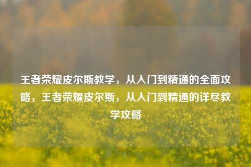 王者荣耀皮尔斯教学,从入门到精通的全面攻略,王者荣耀皮尔斯,从入门到精通的详尽教学攻略