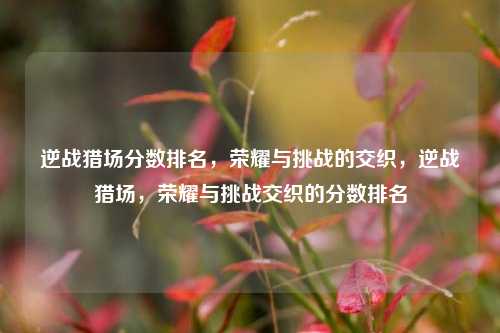 逆战猎场分数排名，荣耀与挑战的交织，逆战猎场，荣耀与挑战交织的分数排名