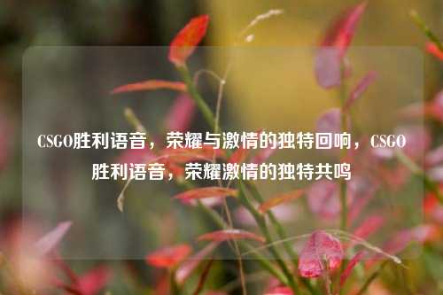 CSGO胜利语音,荣耀与激情的独特回响,CSGO胜利语音,荣耀激情的独特共鸣