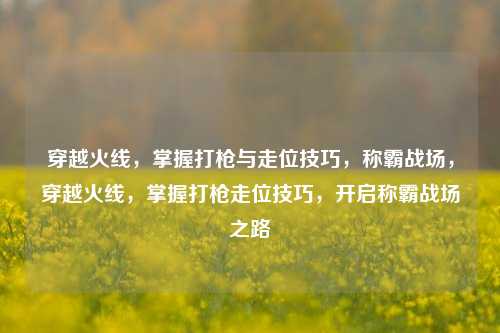 穿越火线，掌握打枪与走位技巧，称霸战场，穿越火线，掌握打枪走位技巧，开启称霸战场之路