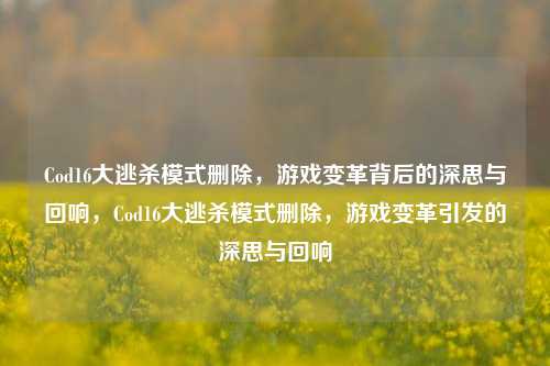 Cod16大逃杀模式删除，游戏变革背后的深思与回响，Cod16大逃杀模式删除，游戏变革引发的深思与回响