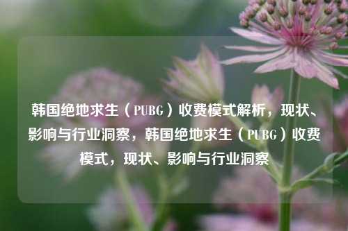 韩国绝地求生(PUBG)收费模式解析,现状、影响与行业洞察,韩国绝地求生(PUBG)收费模式,现状、影响与行业洞察