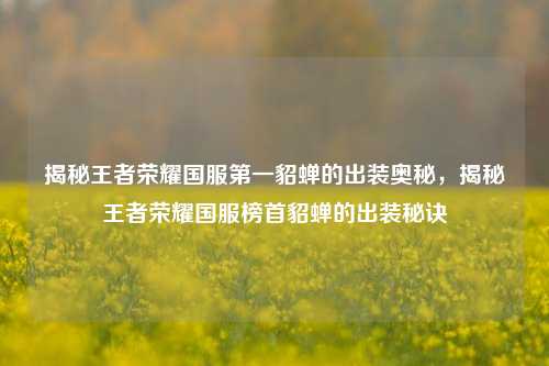 揭秘王者荣耀国服第一貂蝉的出装奥秘,揭秘王者荣耀国服榜首貂蝉的出装秘诀