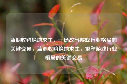蓝洞收购绝地求生，一场改写游戏行业格局的关键交易，蓝洞收购绝地求生，重塑游戏行业格局的关键交易