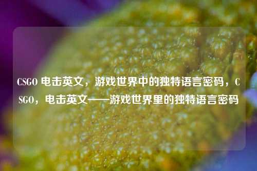 CSGO 电击英文,游戏世界中的独特语言密码,CSGO,电击英文——游戏世界里的独特语言密码