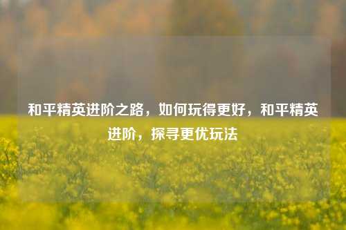 和平精英进阶之路,如何玩得更好,和平精英进阶,探寻更优玩法