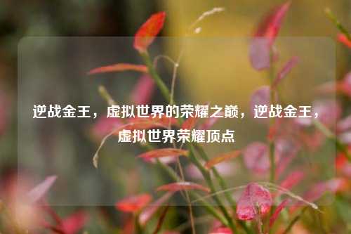 逆战金王，虚拟世界的荣耀之巅，逆战金王，虚拟世界荣耀顶点
