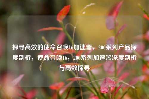 探寻高效的使命召唤16加速器,200系列产品深度剖析,使命召唤16,200系列加速器深度剖析与高效探寻