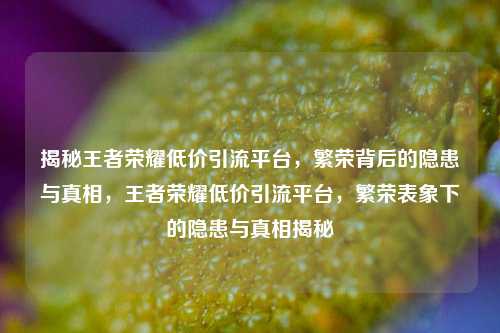 揭秘王者荣耀低价引流平台,繁荣背后的隐患与真相,王者荣耀低价引流平台,繁荣表象下的隐患与真相揭秘