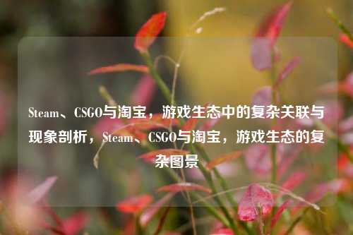 Steam、CSGO与淘宝,游戏生态中的复杂关联与现象剖析,Steam、CSGO与淘宝,游戏生态的复杂图景