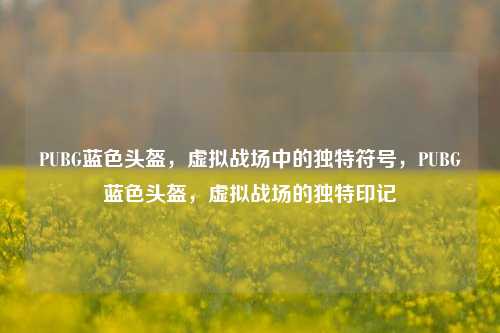 PUBG蓝色头盔，虚拟战场中的独特符号，PUBG蓝色头盔，虚拟战场的独特印记