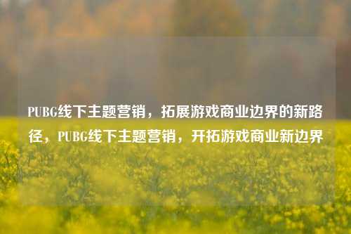 PUBG线下主题营销，拓展游戏商业边界的新路径，PUBG线下主题营销，开拓游戏商业新边界