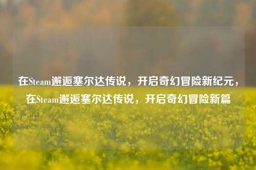 在Steam邂逅塞尔达传说,开启奇幻冒险新纪元,在Steam邂逅塞尔达传说,开启奇幻冒险新篇