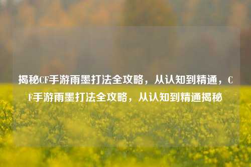揭秘CF手游雨墨打法全攻略，从认知到精通，CF手游雨墨打法全攻略，从认知到精通揭秘