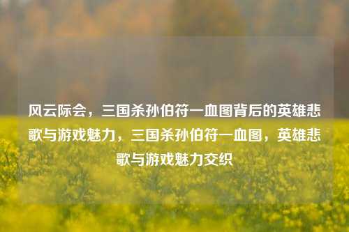 风云际会,三国杀孙伯符一血图背后的英雄悲歌与游戏魅力,三国杀孙伯符一血图,英雄悲歌与游戏魅力交织
