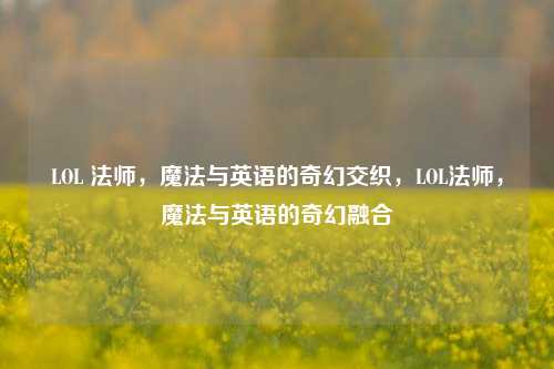 LOL 法师,魔法与英语的奇幻交织,LOL法师,魔法与英语的奇幻融合