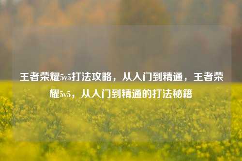 王者荣耀5v5打法攻略，从入门到精通，王者荣耀5v5，从入门到精通的打法秘籍