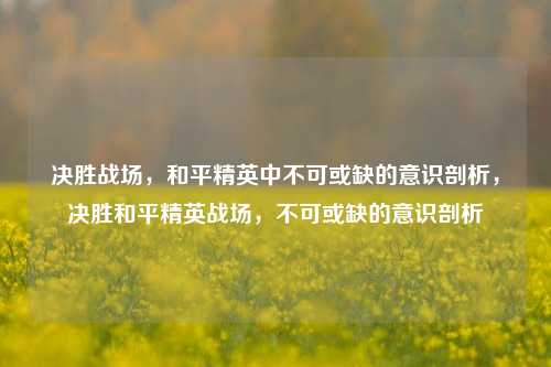 决胜战场,和平精英中不可或缺的意识剖析,决胜和平精英战场,不可或缺的意识剖析