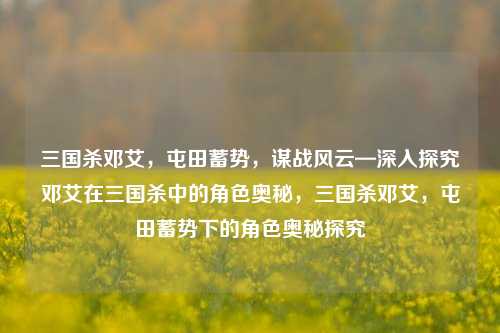 三国杀邓艾,屯田蓄势,谋战风云—深入探究邓艾在三国杀中的角色奥秘,三国杀邓艾,屯田蓄势下的角色奥秘探究