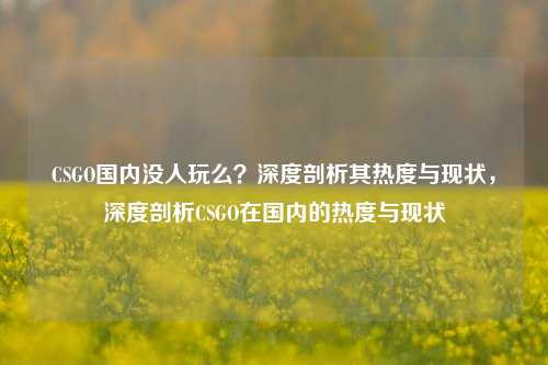 CSGO国内没人玩么?深度剖析其热度与现状,深度剖析CSGO在国内的热度与现状