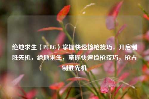 绝地求生(PUBG)掌握快速捡枪技巧,开启制胜先机,绝地求生,掌握快速捡枪技巧,抢占制胜先机