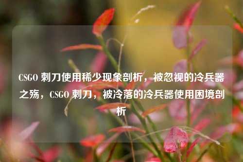 CSGO 刺刀使用稀少现象剖析,被忽视的冷兵器之殇,CSGO 刺刀,被冷落的冷兵器使用困境剖析