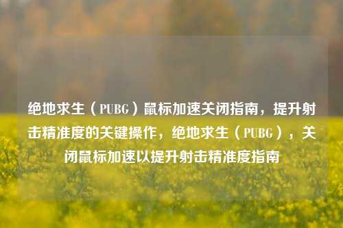 绝地求生(PUBG)鼠标加速关闭指南,提升射击精准度的关键操作,绝地求生(PUBG),关闭鼠标加速以提升射击精准度指南