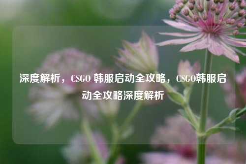 深度解析,CSGO 韩服启动全攻略,CSGO韩服启动全攻略深度解析